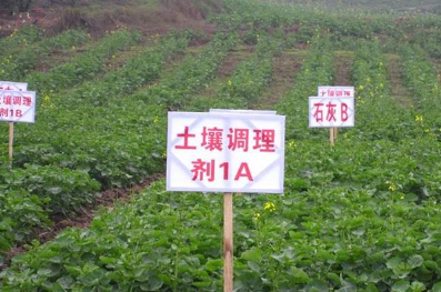 这肥料能改良土壤减少化肥投入，未来将成为农民种地首选