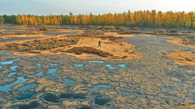 （图4  现场污染情况  来源于网络）.jpg