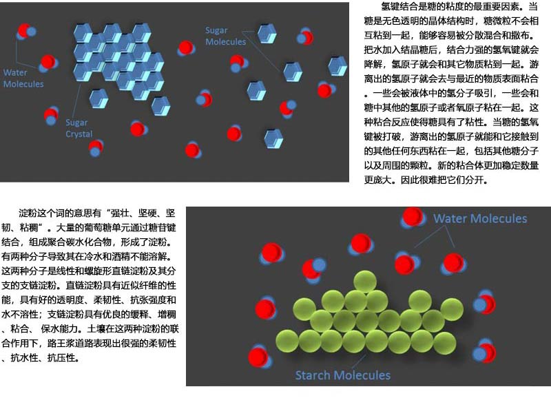 路王浆作用.jpg