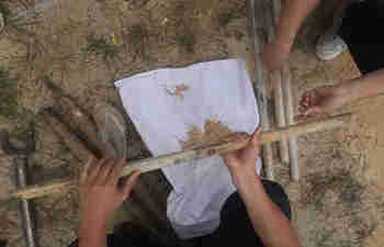 液压土壤取样钻机交付项目完成